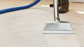 Carpet cleaning wand head gliding over a light carpet during hot-water extraction, Kansas City, KS.
